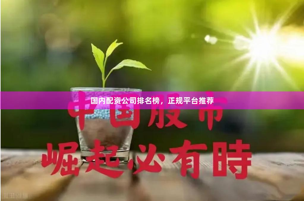 国内配资公司排名榜，正规平台推荐